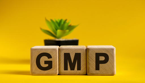 GMP documentation